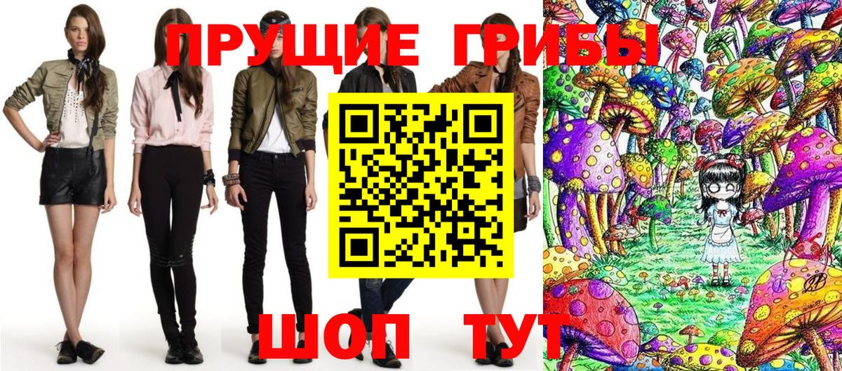 Фрязино  Псилоцибиновые грибы Psilocybe  Вход с VPN  Псилоцибиновые грибы Psilocybe 